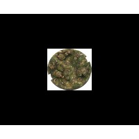 SWL Forest Bases 100mm Round (1 piece)