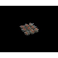 Chaos Bases Round 30mm  (5 pieces)