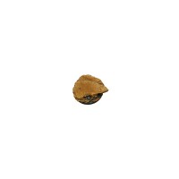 Shale Bases Round 60mm (1 piece)