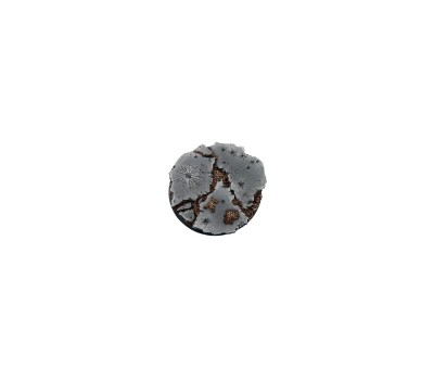 Ruins Bases Round 60mm (1 piece)