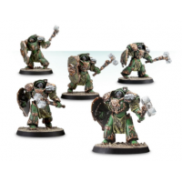 Salamanders Legion Firedrakes Salamanders Legion Firedrakes