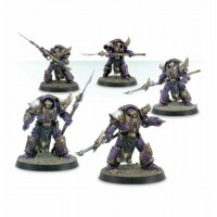 Emperor's Children Phoenix Terminators
