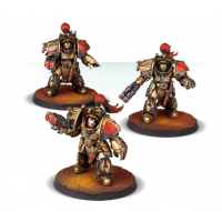 Legio Custodes Aquilon Terminators