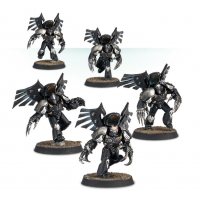 Raven Guard Dark Fury Assault Squad