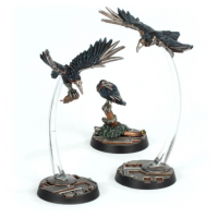 Cawdor Sheen Birds Cawdor Sheen Birds