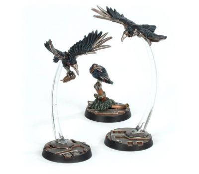 Cawdor Sheen Birds Cawdor Sheen Birds