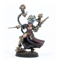 Lady Credo, Rebel Lord