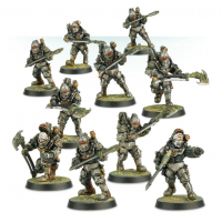 Solar Auxilia Veletaris Storm Section with Power Axes Solar Auxilia Veletaris Storm Section with Power Axes