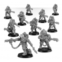 Solar Auxilia Flamer Section