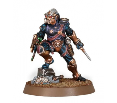 Clade Venenum Assassin