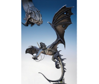Ringwraith On Fellbeast