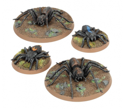 Spiders of Middle-earth™