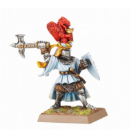 Paladin with Hammer and Shield Paladin with Hammer and Shield