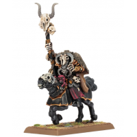 Sorcerer of Chaos on Chaos Steed Sorcerer of Chaos on Chaos Steed