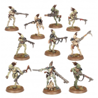 KROOT CARNIVORES