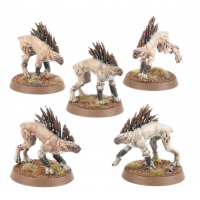 KROOT HOUNDS