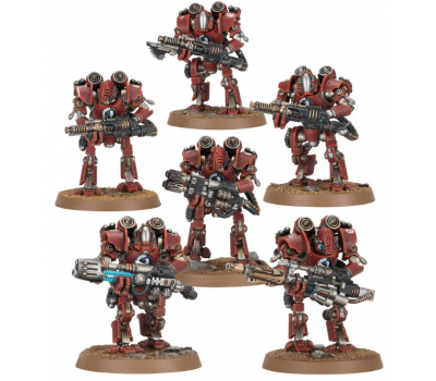 THALLAX COHORT THALLAX COHORT