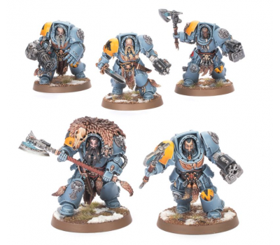 Wolf Guard Terminators
