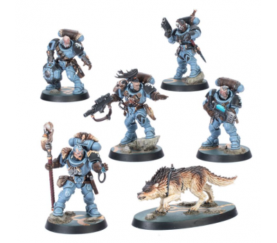 Wolf Scouts