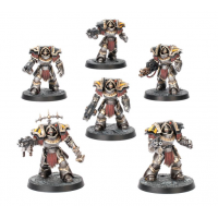 Cataphractii Terminators with Combi-bolters and Power Fists