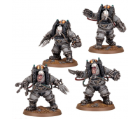 Charonite Ogryn Section