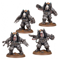 Charonite Ogryn Section