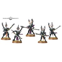 Drukhari Incubi