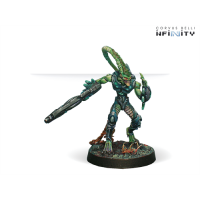 Shasvastii Cadmus Shasvastii Cadmus